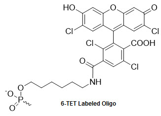 Bio-Synthesis Inc. Oligo Structure